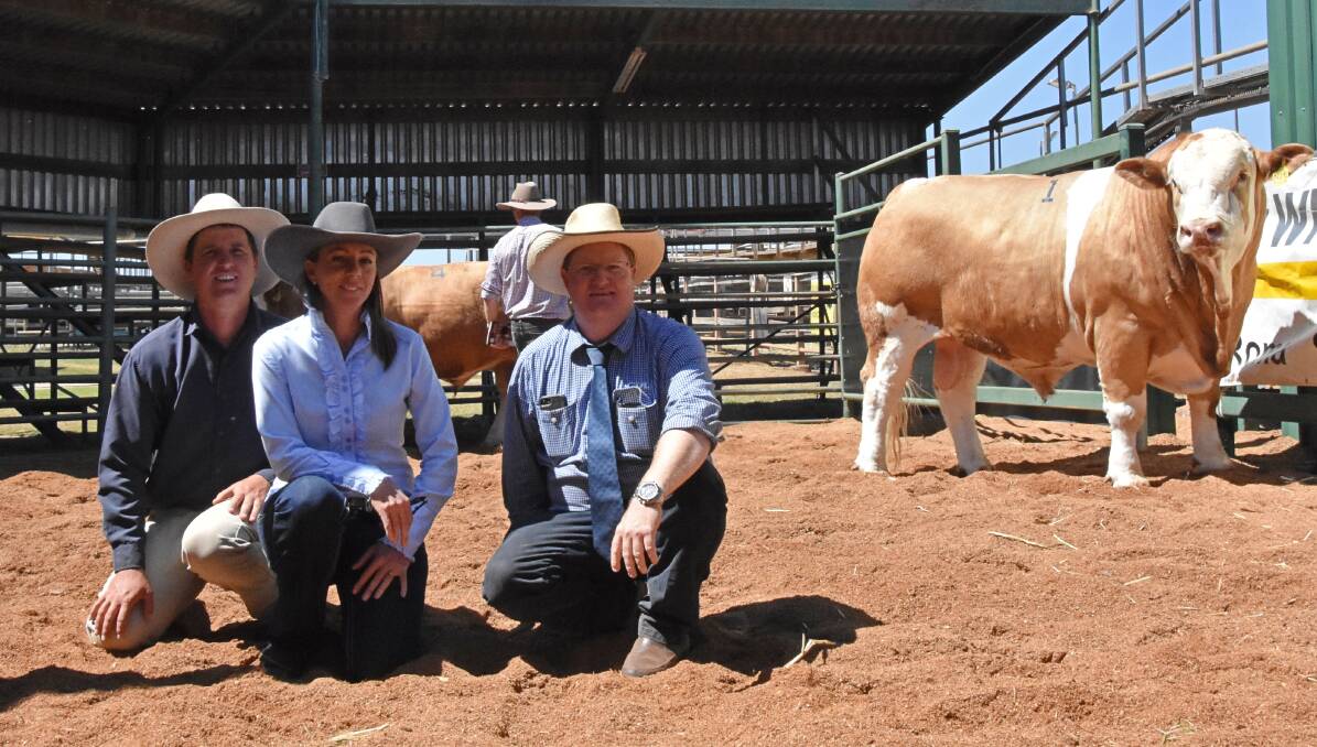 Vendors Scott and Claire York, Billa Park, and GDL auctioneer Mark Duthie, with the top-priced bull, Billa Park Notetaker N141 (P), that was purchased by Pinegroves Pastoral, Irvingdale, for $22,000.