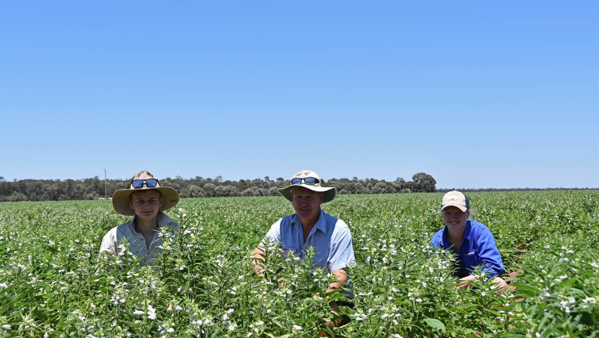 Rhody, Neville and Samantha Boland in the 55ha of white sesame due for harvest in autumn.