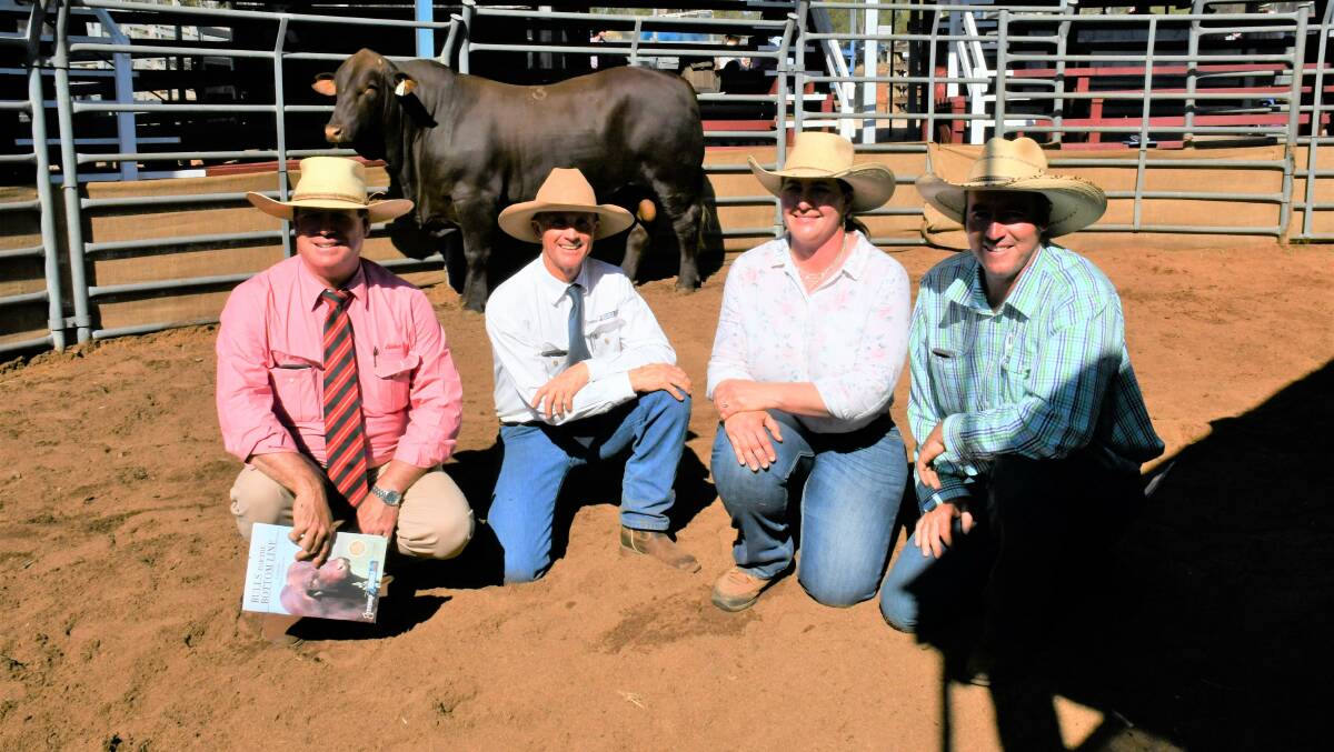 Elders auctioneer Michael Smith, Rick Greenup of Greenup Eidsvold Station Santas and buyers of the $85,000 top-priced bull, Eidsvold Station Raj R568 (PS), Elisa and Chris Fox, Cooinda Santa Gertrudis, Proston.
