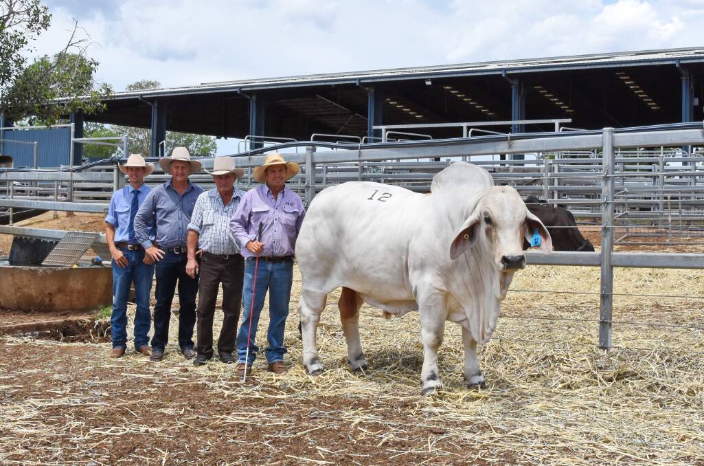 Selling agent Brad Passfield, Hourn and Bishop Qld, buying agent Matthew Geaney, Geaney and Co, Charters Towers, buyer Rob Flute, Chatfield Brahmans, Charters Towers, and vendor David McCamley, Palmal stud, Dingo, with the $80,000 Palmal Drayton 9535 (H).