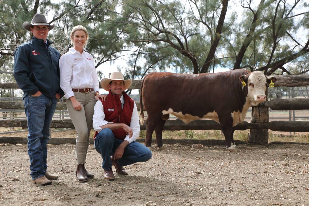 Top seller at the Jarrah Genetics sale, Banana, on Monday was the $29,000, Jarrah Fortune Q236 (PP). With the 23-month-old, 780 kilogram youngster were Matt Bishop, Hourn & Bishop Qld, and vendors Sarah and Sam Becker, Jarrah Cattle Company, Banana.