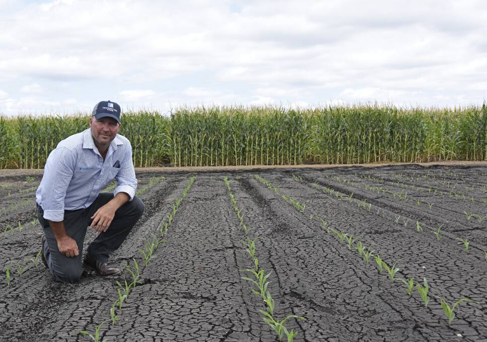 Pacific Seeds summer grains agronomist Trevor Philp said particularly excited about the opportunity the farm will give to young farmers and young agronomists.