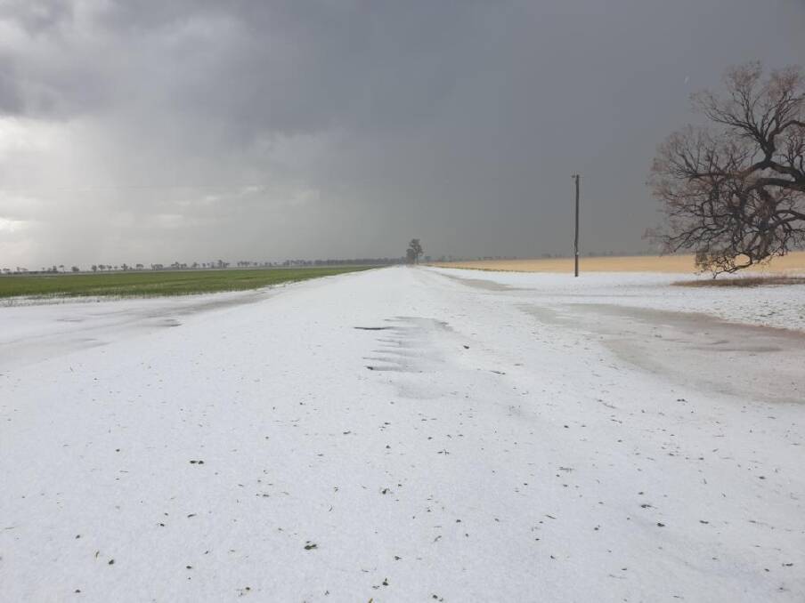 One Tree Agriculture's property Dewai at Jandowae was blanketed with hail. Picture: Ashley Tunks
