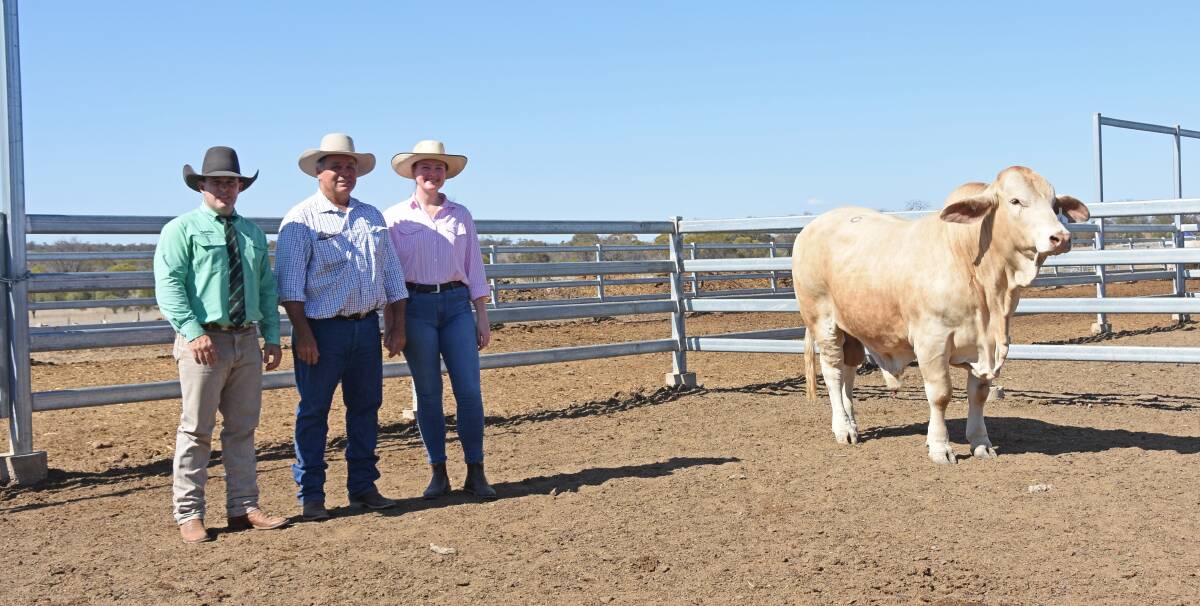 Nutrien selling agent Dane Pearce, and vendors Luke and Meg Welsh, Huntington Charbrays, Taroom, with the top-selling Huntington Q-Man (P/SC) purchased by the Davidson family, Roper Downs, Middlemount, for $20,000.