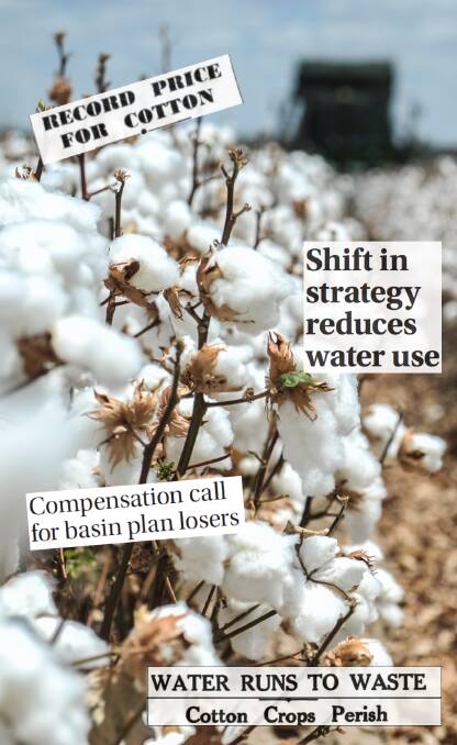 The Queensland cotton industry has expanded exponentially since the first edition of Queensland Country Life on July 25, 1935, and so too has the news coverage.