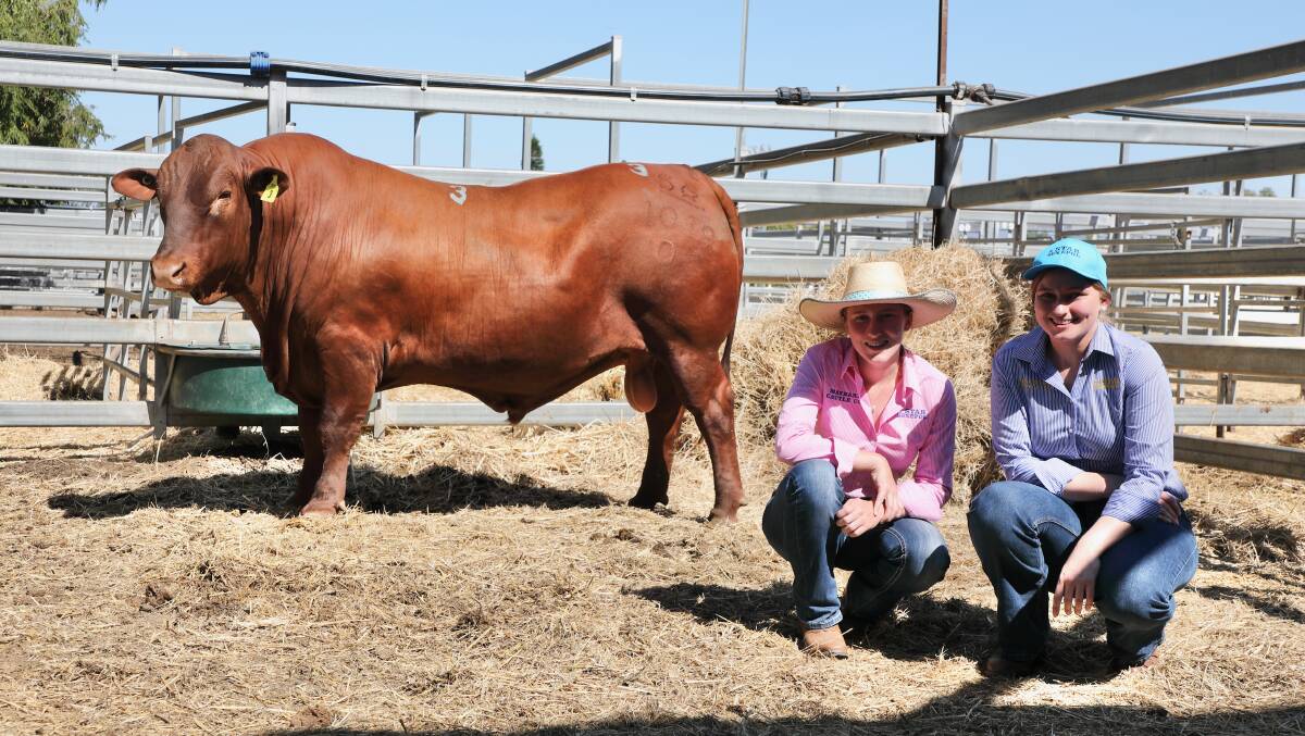 With the new breed record holder, the $40,000, 5 Star 201019 (PP) are Olivia and Sabrina Maynard, 5 Star stud, Jambin. The 22-month-old son of 5 Star 090914 was purchased by Chris Simpson, CAP Genomics, Harlin.