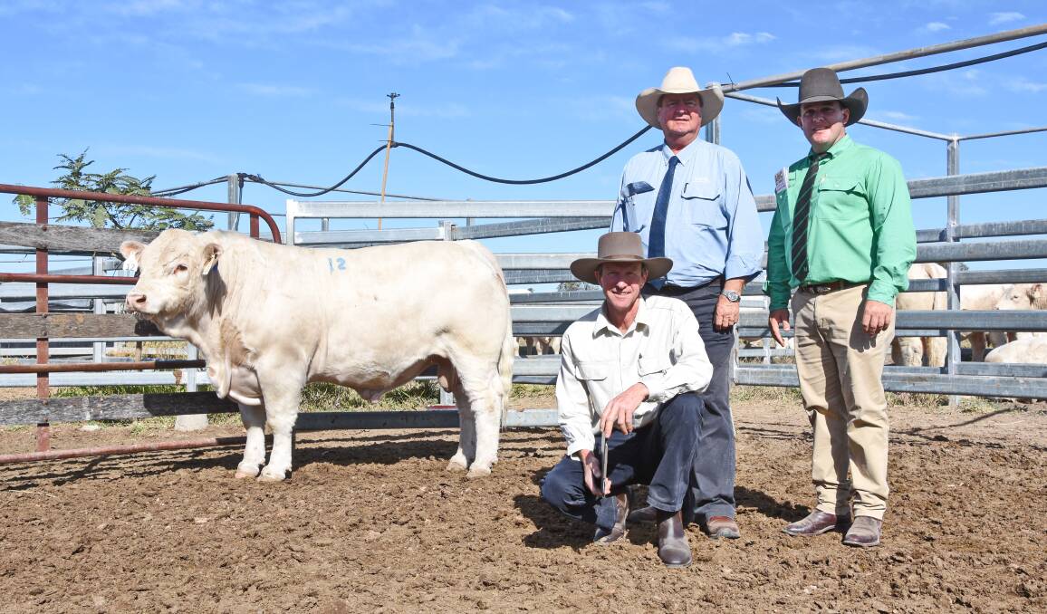 ANC Charolais stud principal Andrew Cass and selling agents Peter Brazier, GDL, and Dane Pearce, Nutrien, with the top-selling ANC Q Pac (P), knocked down to Ryan and Rachel Holzwart, Bauhinia Park Charolais, Emerald, for $45,000. 