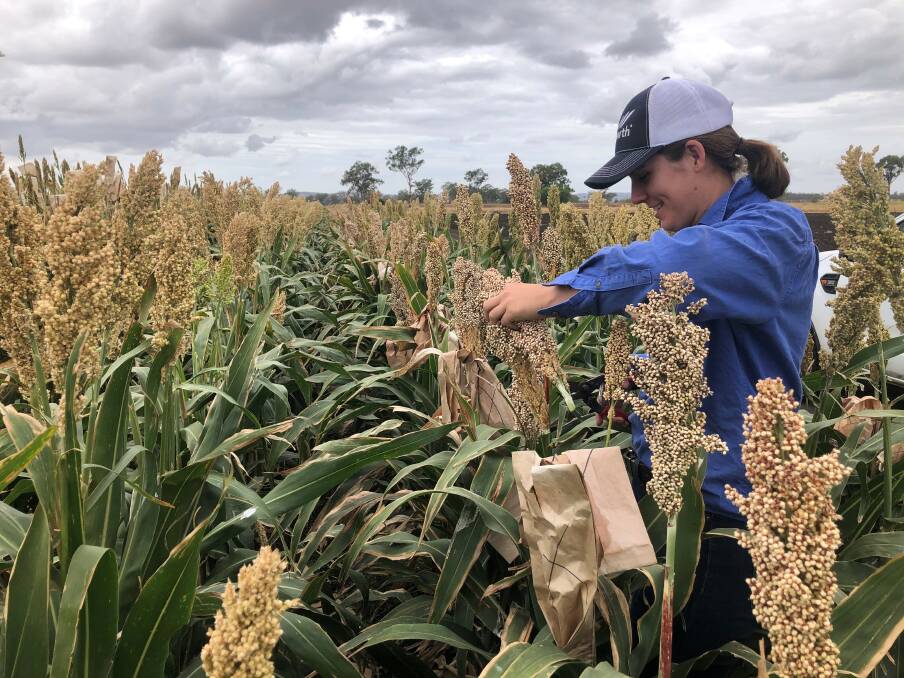 Pacific Seeds seed production agronomist Renee Wildman is one of the newest faces looking to make her mark within agriculture.