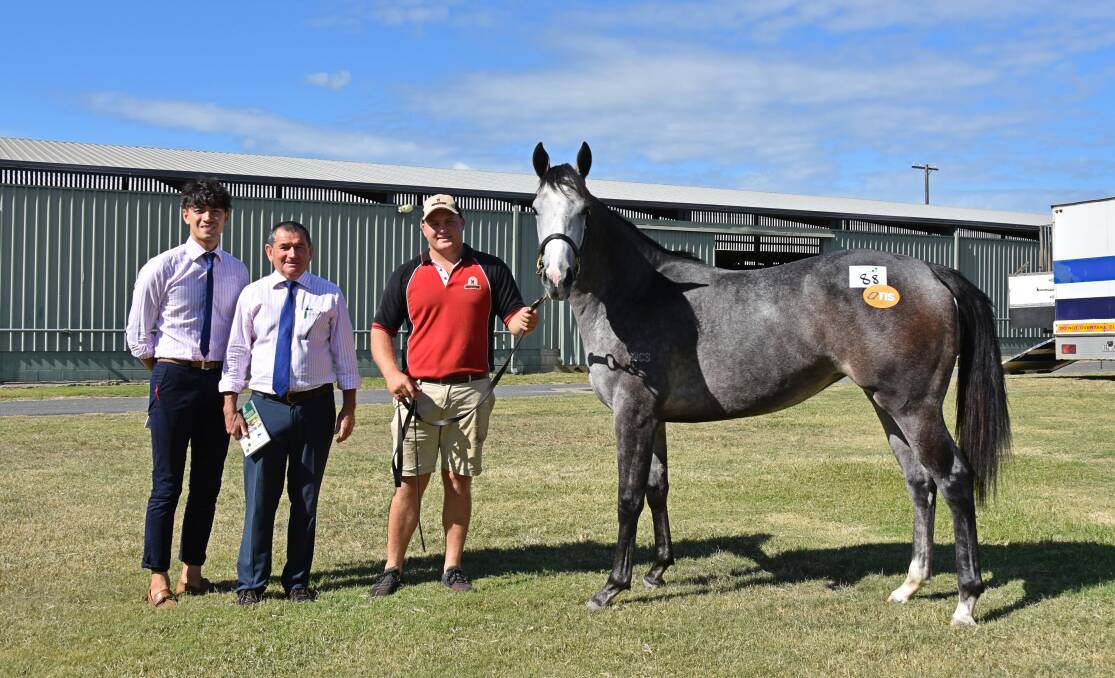 Nicky Wong and David Chester, Magic Millions Sales, and Alistair Stuart, Oaklands Stud, Umbiram, with the 21-month-old grey Sidereus filly purchased by Tom Button for $40,000.