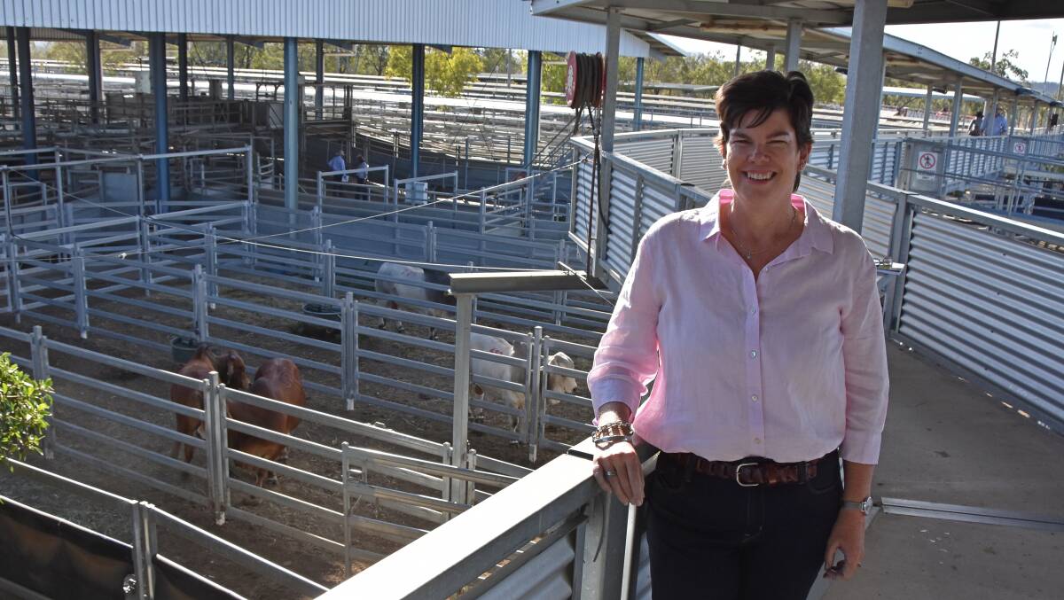 SUCCESS: Australian Brahman Breeders' Association general manager Anastasia Fanning was thrilled with the results from Brahman Week 2020.