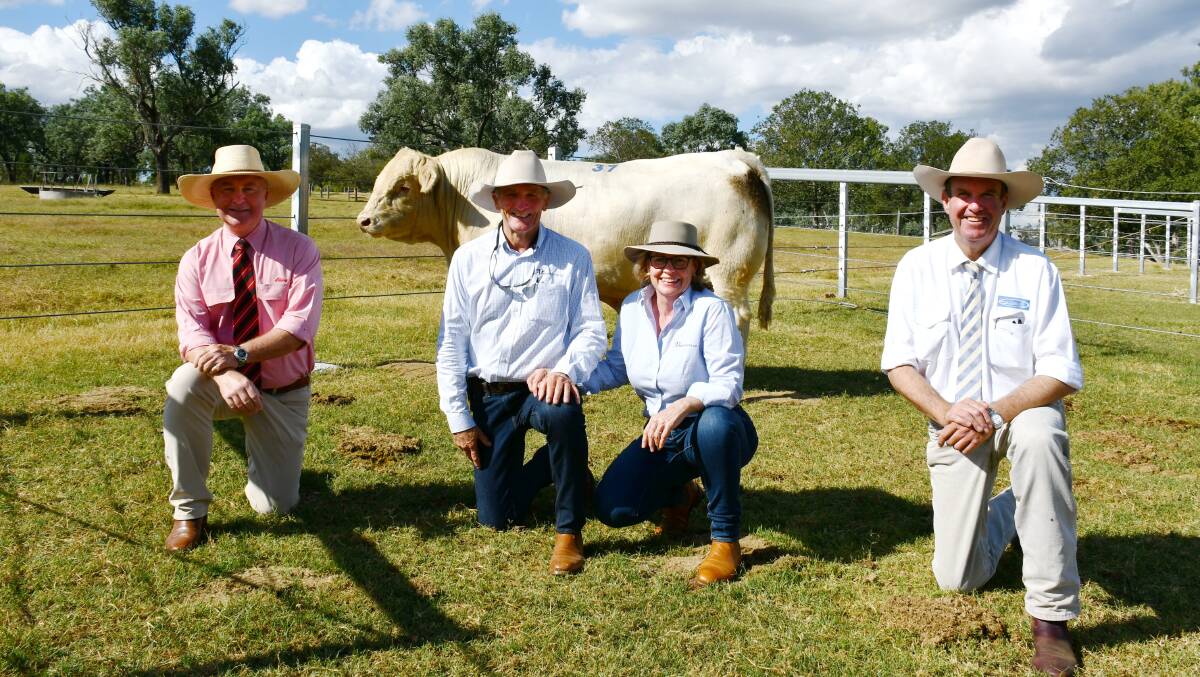 Andrew Meara, Elders, Toowoomba, Jim and Jackie Wedge, Ascot Cattle Company, Warwick and guest auctioneer Paul Dooley of Tamworth, NSW, with the $28,000 top selling Charolais, Ascot Pure Blonde P44E (P).