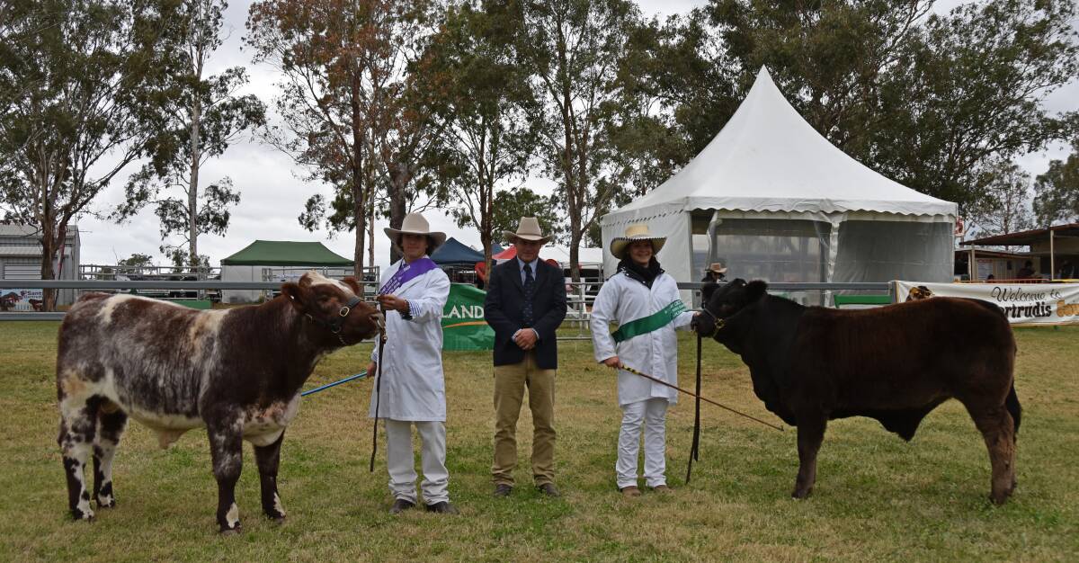 Champion young handler Lawrence Sehmish-Lahey with Amavale Platinum P7, judge Craig Price, Kilcoy, and reserve champion Katelyn Osbourne, Wilsonton State High School, with Sparky.