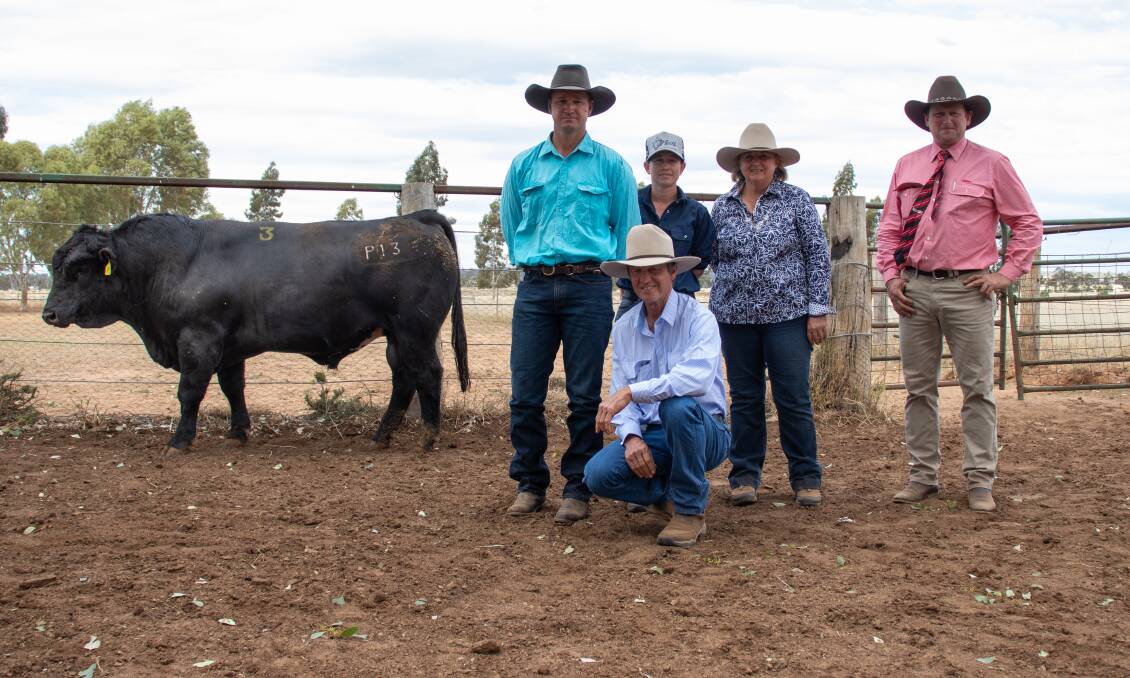 Purchasers Keiren Delforece and Bec Mckeering, Camelock Rural, Augathella, vendors Tony Horvath (front) and Roslyn Ware, Fairview Black Simmentals, and Elders agent David Phillips with Fairview Potent P13. 
