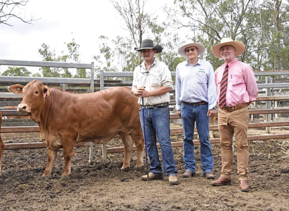 Record price: Vendor Brandon Russell, Locarno Droughtmasters, Dingo, buyer Rowan Smith, Smithy's Droughtmasters, Warwick, and selling agent, Andrew Meara, Elders Stud Stock, with the $29,000 leading lady, Locarno Piper (S). 