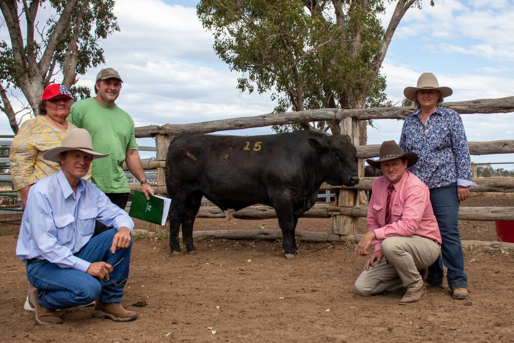 TOP SELLER: Tony Horvath, Fairview Black Simmentals, purchasers Elaine Pampling and Vaughn Pampling of Derbyshire Downs, Augathella, David Phillips, Elders, Mitchell, and Roslyn Ware, Fairview Black Simmentals, with Fairview Payload P56.
