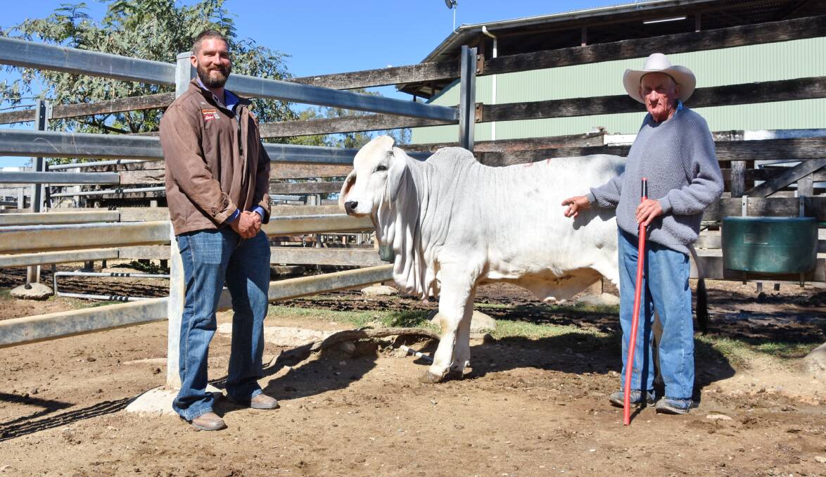 Buyer Clay Scott, Ruan Grazing, Clermont, and vendor Royce Sommerfeld, Brahrock stud, with the second-top priced heifer Brahrock Miss V8 Empress 6650 (IVF) (H).