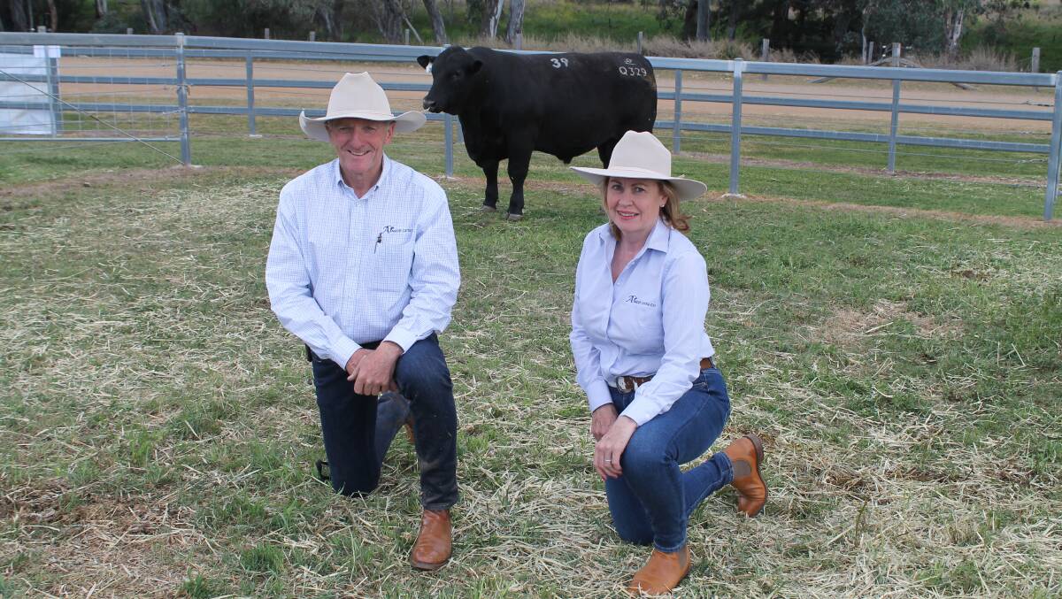 Ascot Cattle Company principals Jim and Jackie Wedge, North Toolburra, Warwick with the $23,000 top-priced Angus bull, Ascot Qualifier Q329 (AI) which was bought by Trent Walker, Walker Bros Enterprises, Keringa Angus, Lameroo, South Australia.