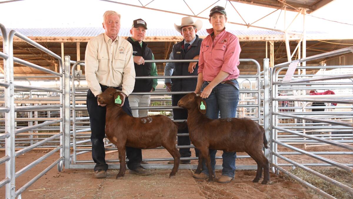 The top priced does held by buyer Jim Gillon, Macanda Boers, and vendor Emma Patterson, Springvale Reds, with selling agents Colby Ede, Nutrien, Toowoomba, and Anthony Hyland, GDL, St George.