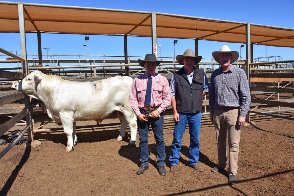 TopX Roma auctioneer, Lincoln McKinlay, top-price buyer, Roger Hoare, Fernbank, Kingaroy, and Riverglen Charolais stud principal, David Sullivan, with Riverglen N2337E which was purchased for $9500.