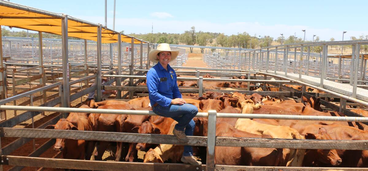 Sarah Packer, TopX, with Santa cows and calves from Rosehearty Grazing, Longreach that sold to $1380/unit.