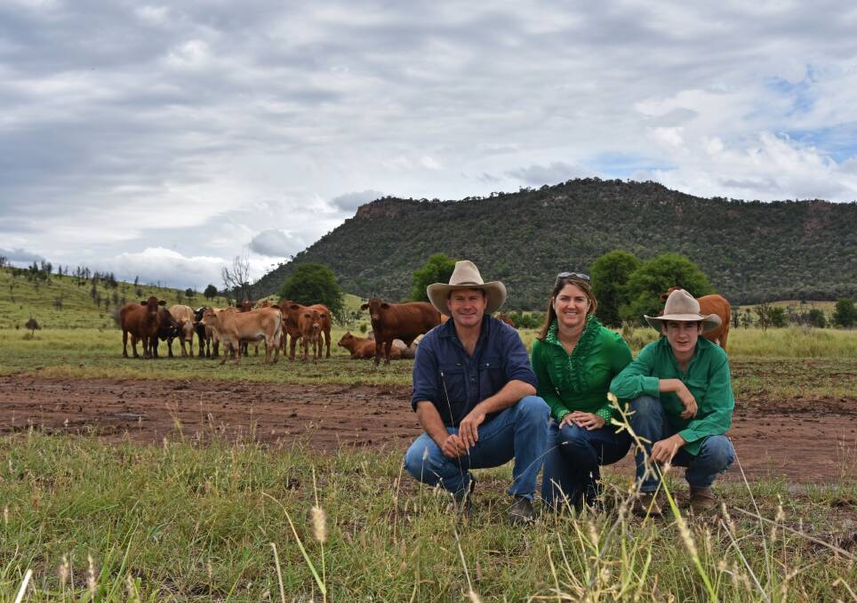 Arcadia Valley producers Owen, Brigid, and Rob Price are making coal seam gas wells and organic certification work to their advantage at Hillyvale. 