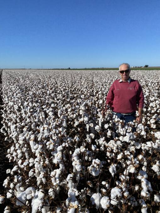 Howard Rother's cotton crop grown using the N-Drip irrigation system yielded 11 bales to the hectare in a single skip row configuration. 