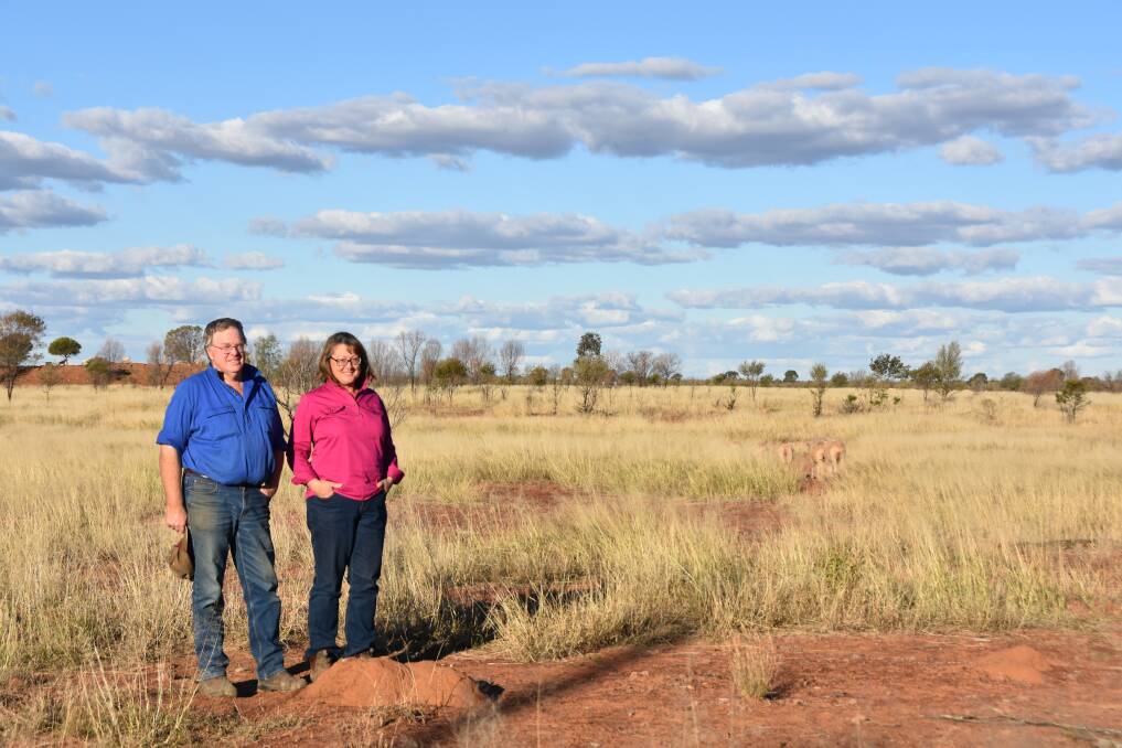 Andrew and Di Parsons purchased Altonvale, between Westmar and St George, at the beginning of 2019 and are focused on developing a highly-efficient Merino operation.