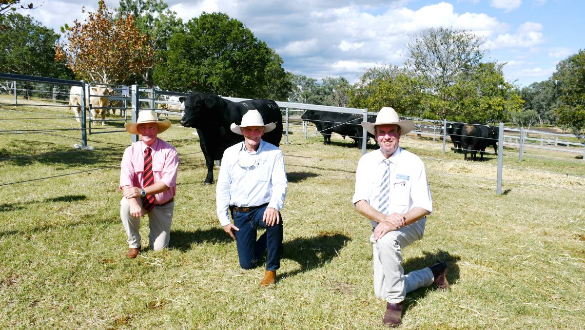 Andrew Meara, Elders, Toowoomba, Jim Wedge, Ascot Cattle Company, Warwick, and auctioneer Paul Dooley, Tamworth, NSW, with the $20,000 equal top-priced Angus bull, Ascot Panther P345.