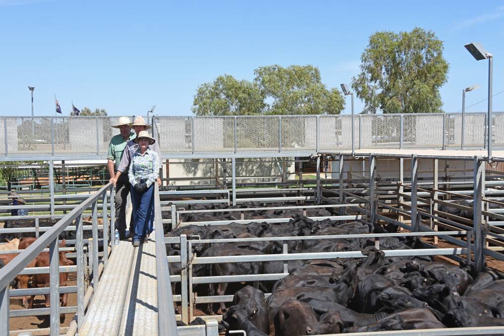 Rod Turner, Landmark Roma, Ben Whip, Struan, Roma and Kirsten Whip, Brisbane, with Angus-cross heifers that sold to a top of 212c/kg to make $791/head and average 182c/kg. Picture by Hayley Kennedy.
