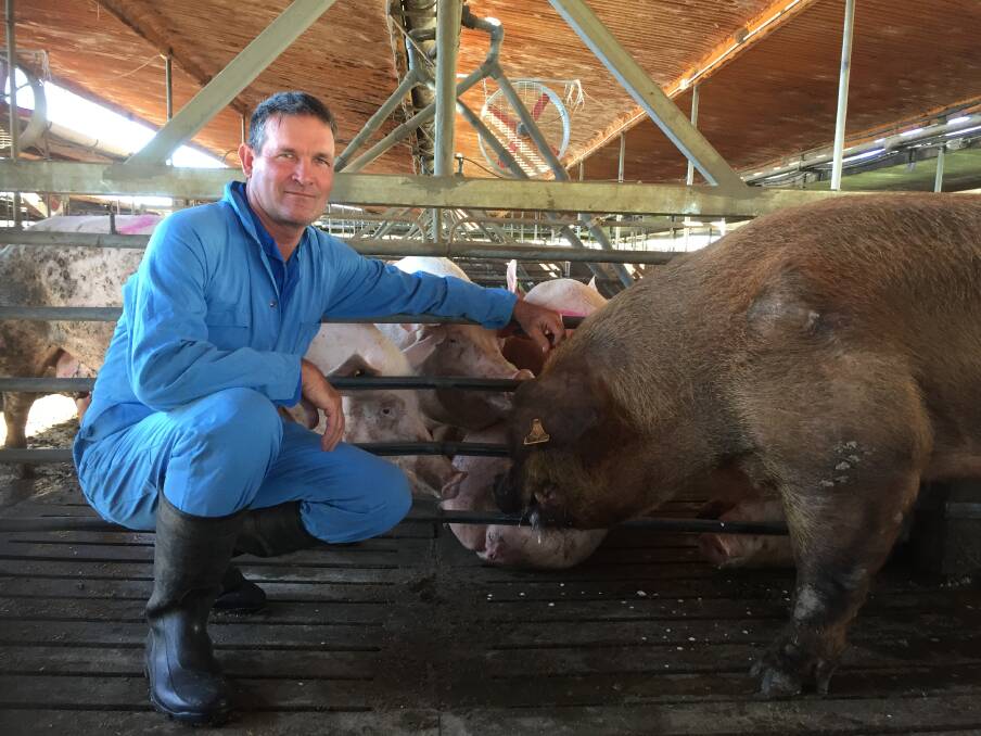 Glasshouse Country Farms owner Gary Maguire had to boost security after being repeatedly targeted by animal rights activists, but says he's wary of further invasions.