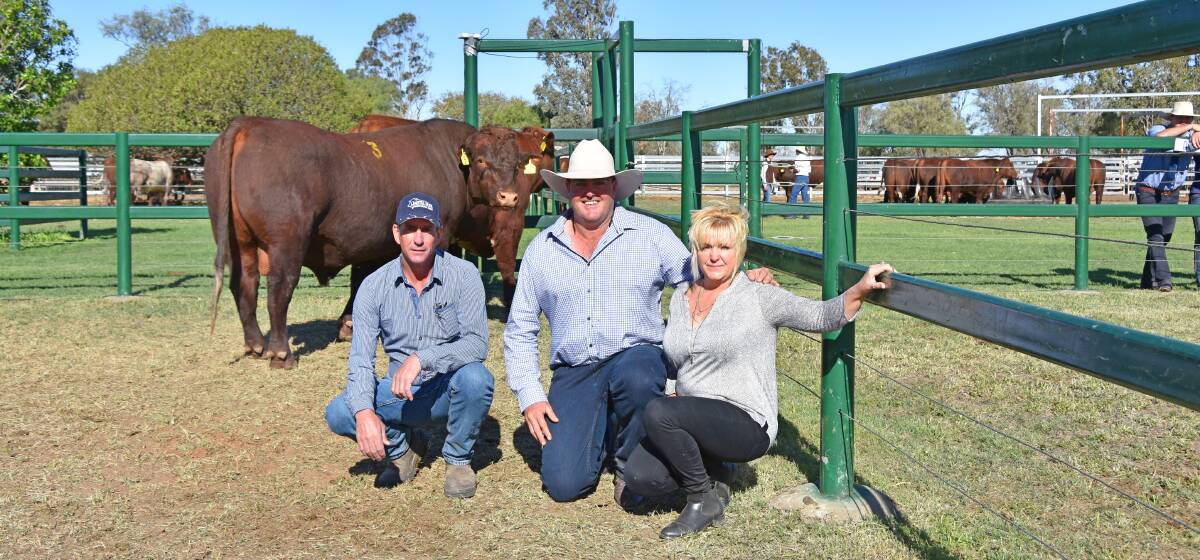 The Grove Shorthorns stud principal, Spencer Morgan (centre), with top-price buyers, Marc and Christine Ross, Lanstal Pty Ltd, Pinjarra, WA, and their new sire, The Grove Playstation M0244.