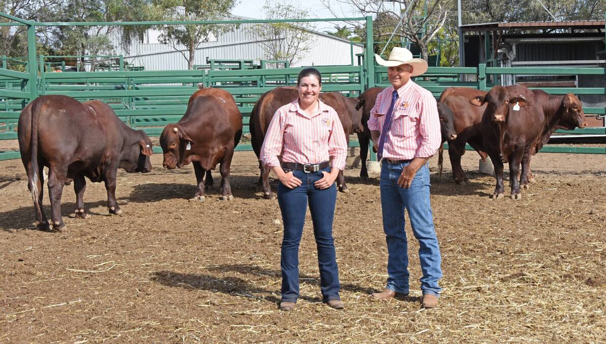 TopX livestock agent Sarah Packer with TopX Australia owner Cyril Close at the Dangarfield Santa Gertrudis bull sale on Wednesday.