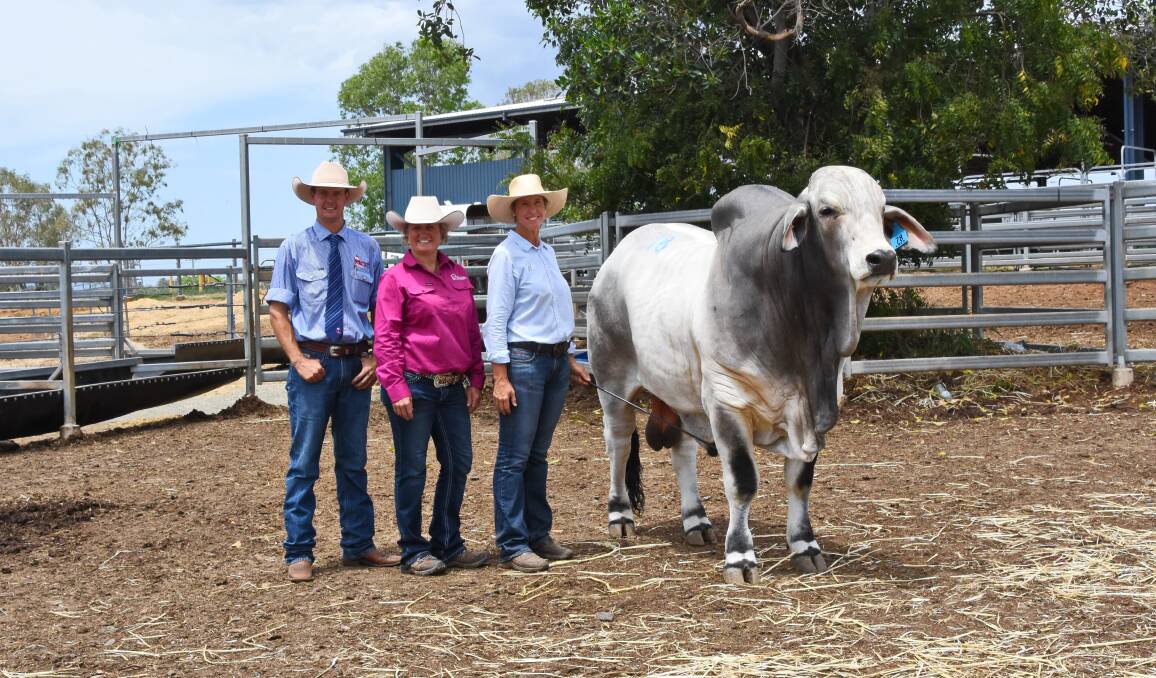 SALE TOPPER: Selling agent Brad Passfield, Hourn and Bishop Qld, buyer Brooke Jefferis, Elrose Brahmans, Theodore, and Anna McCamley, 2AM stud, Dingo, with the $100,000 2AM Everett 7420 (H).