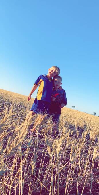 Ollie, 5, and Lucas Price, 3, in Flanker wheat at Cambridge Downs, Surat. Picture: Tayla Price