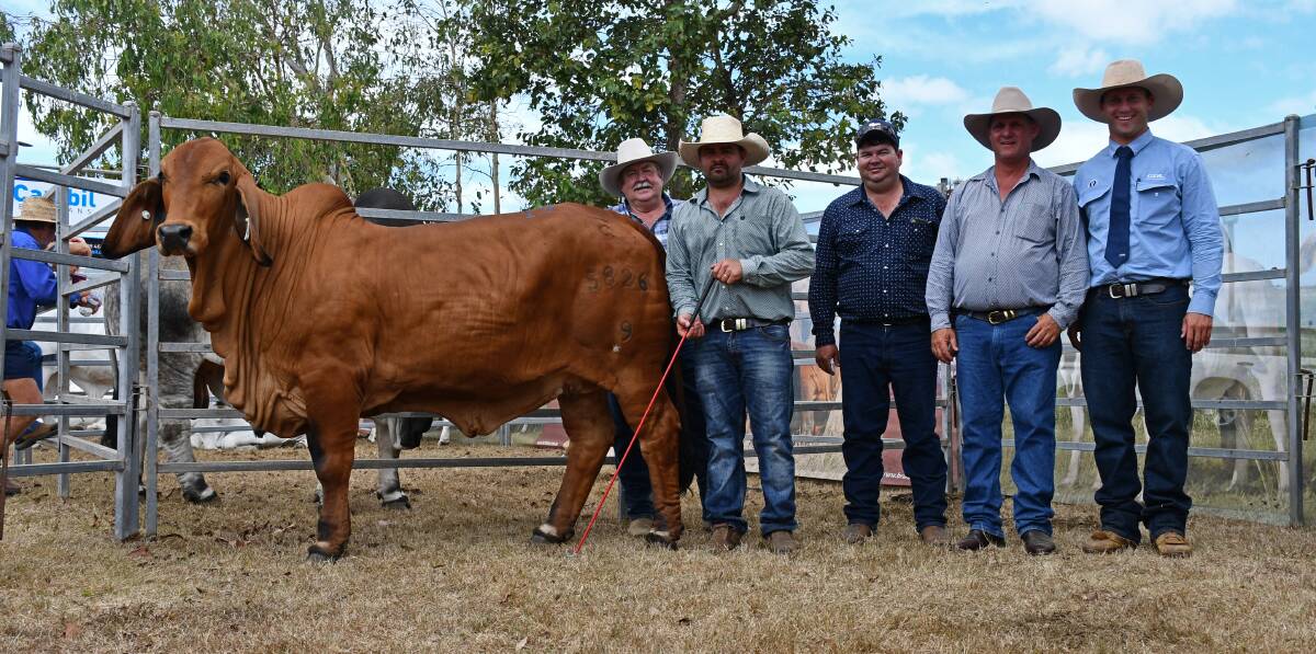 LEADING LADY: The $63,000 record-breaking Cambil Dienka 5826 (IVF) (H) with buyers John, Nick and Richie Brownson, Brownson Brahmans, Charters Towers, vendor Lawson Camm, Cambil Brahmans, Proserpine, and selling agent Josh Heck, SBB/GDL. 