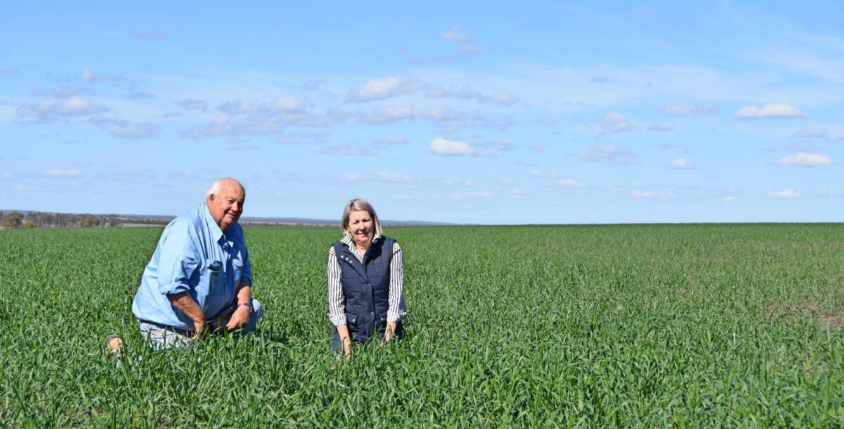 Noel and Liz Cook were lucky to get 30mm of rain at the beginning of July which enabled a late-plant wheat crop and 1000ha of oats to go in.