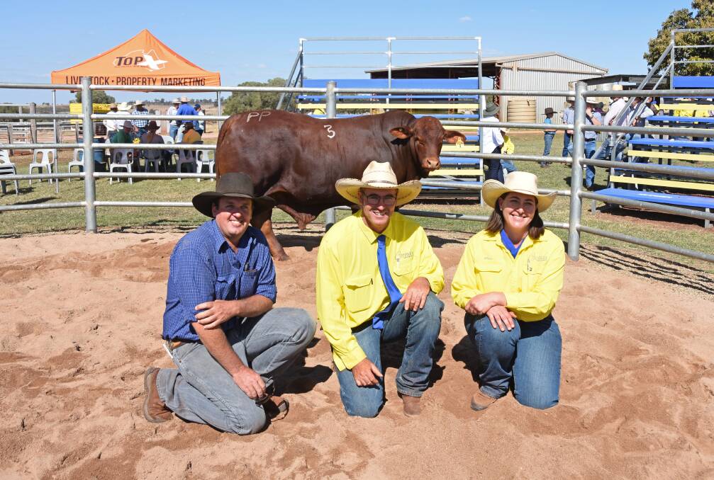 Ben Adams, Dangarfield Cattle Co, Taroom, and Chris and Elisa Fox, Cooinda Santa Gertrudis, with $19,000 Cooinda Quoit Q244 (PP).