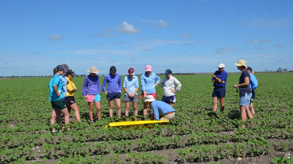Applications are now open for the 2020 Australian Future Cotton Leaders Program.