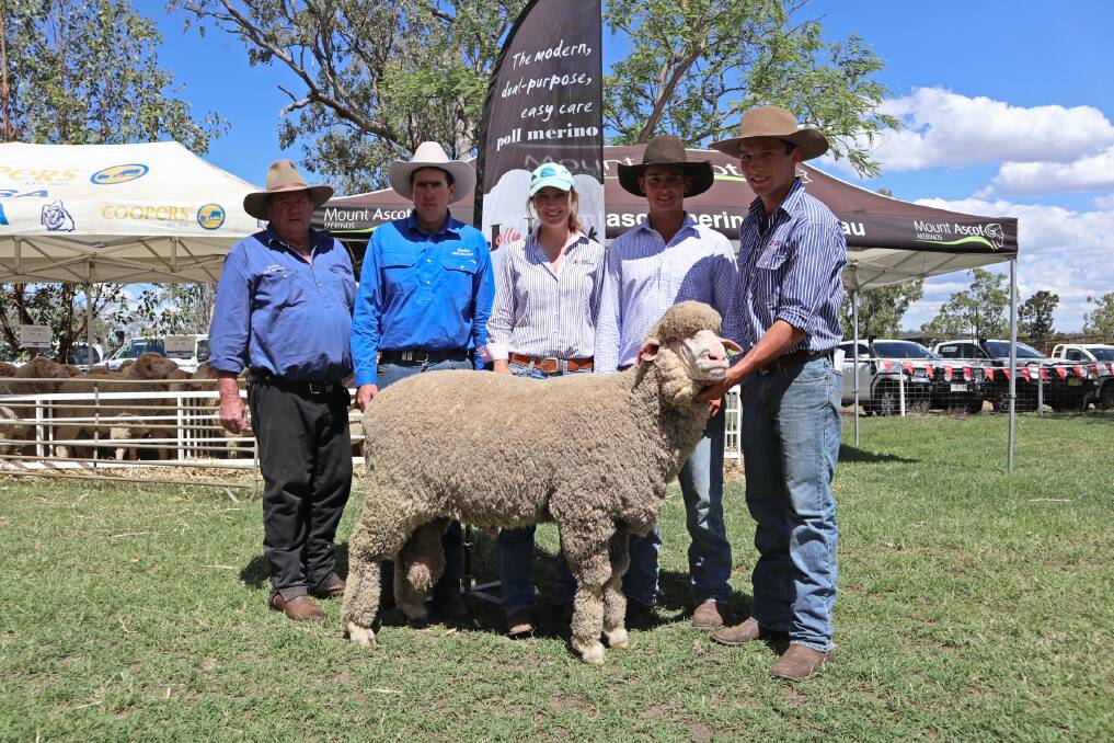 Jolly Jumbuck Poll Merino top priced ram sold for $7600 to Paul and Michael Evans, pictured with Felicity, Lachie and Charlie Brumpton.