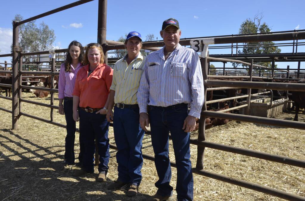 Red Centre weaners: Yambah Station, Alice Springs, yarded cattle at the Roe Creek sale for the first time in 12 years. From the station are Laura Debnam, sister-in-law Kirsty Gorey, brother Bodie Gorey and dad Aaron Gorey.