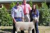 Wingamin ewes breaks record twice