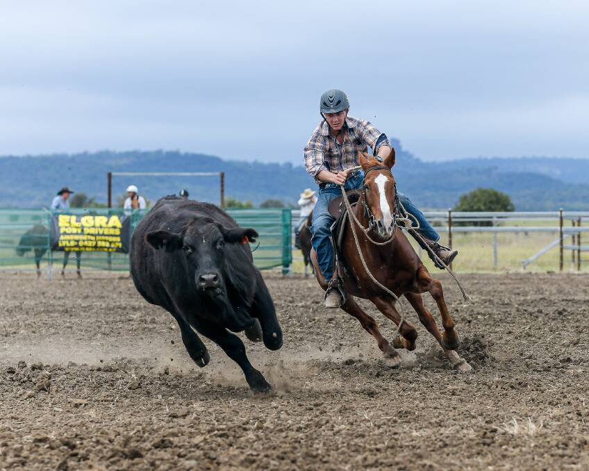 Ayrton Smith and Inconspicous competing at the Palmgrove Pintpot campdraft. Picture: Ashjo Photography
