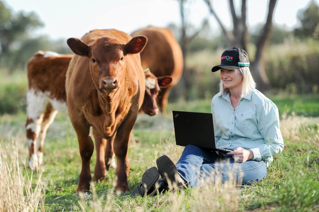Kirra Kelly has been the brains behind the relaunched Livestock Connect website. Photos: Lucy Kinbacher