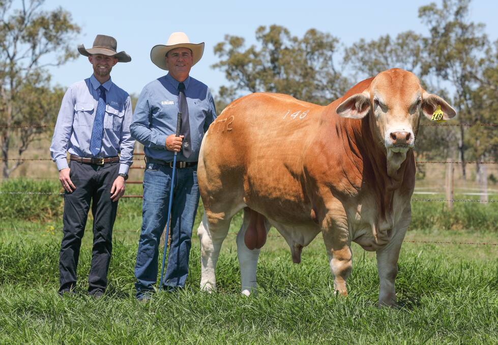 Simon Kinbacher, GDL Rockhampton and Glenlands Droughtmaster stud principal Jason Childs with the record breaker. Picture: Kent Ward