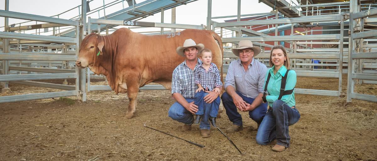 Top price bull, Oasis Dundee, with vendors Adam, Archie and Noel Geddes, Oasis Droughtmasters, Emerald, and buyer Gayle Shann, Lamont Droughtmasters, Cantaur Park, Clermont. Picture: Kelly Butterworth.