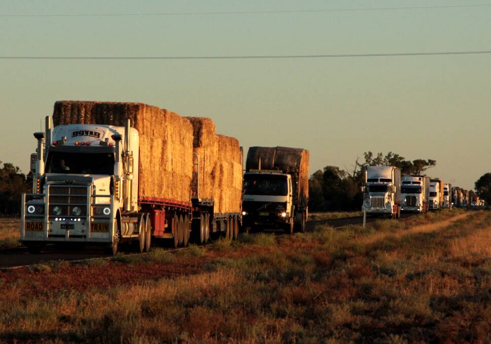 This sight will be greeting Cunnamulla producers on Australia Day where 150 trucks will unload hay. Picture: Sally Cripps