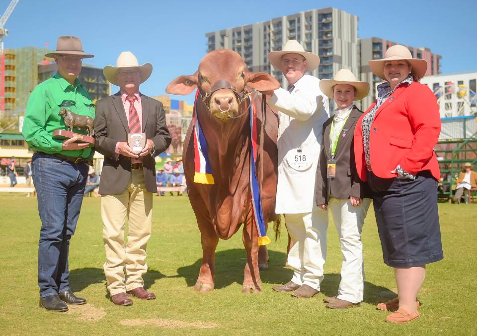 The grand champion Droughtmaster bull, Glenlands J Velocity, handled by Jason Childs, Glenlands, Theodore, with Michael Hawkins, Samford, with the Betty Baker memorial trophy, Robert Murray, Elders, associate judge Chloe Davey, Emerald, and judge Tammie Robinson, Toogoolawah. Photo by Kelly Butterworth.