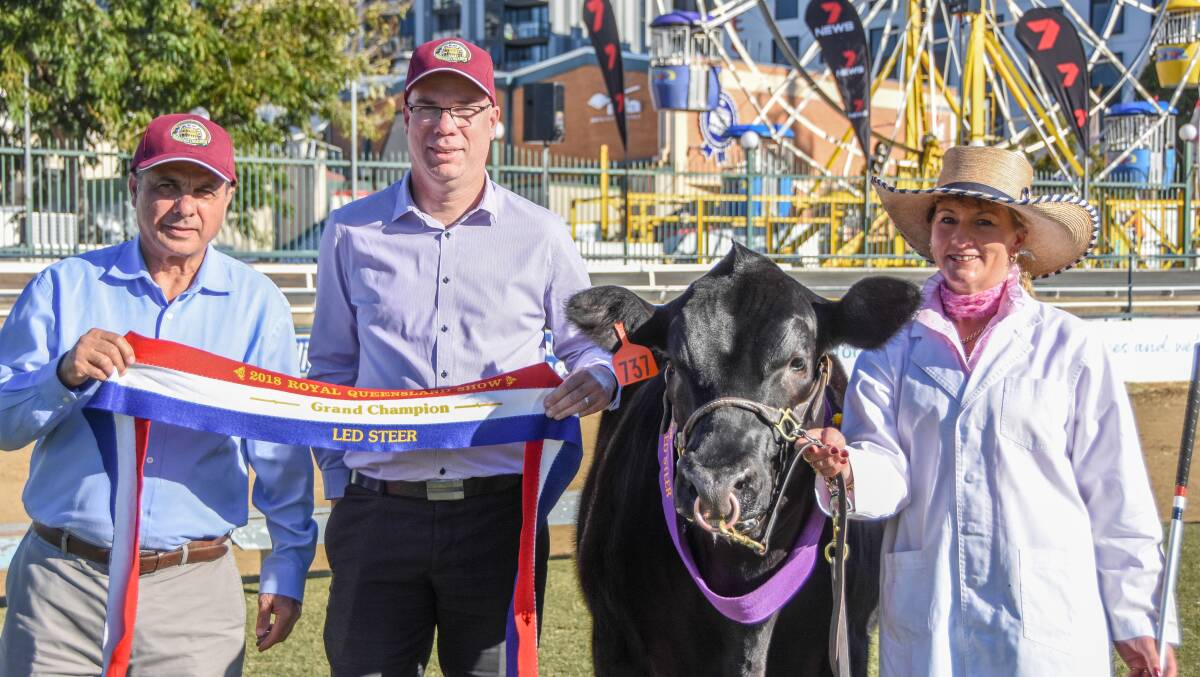 Breakfast Creek Hotel venue manager Sam Gullo and operations manager Jeff Sanson with the grand champion steer and handler Karen Griffiths. The hotel paid $52/kg for the steer, which dressed 312kg. 