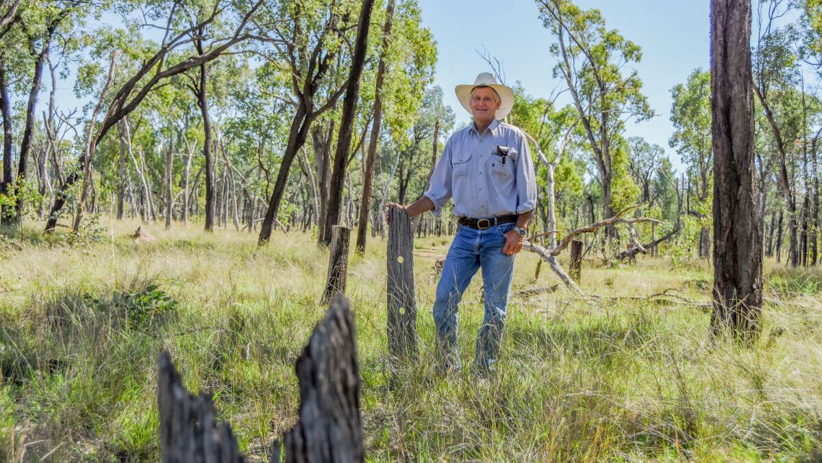 Mr Joliffe beside an old fence post his grandfather established in the once cleared area. 