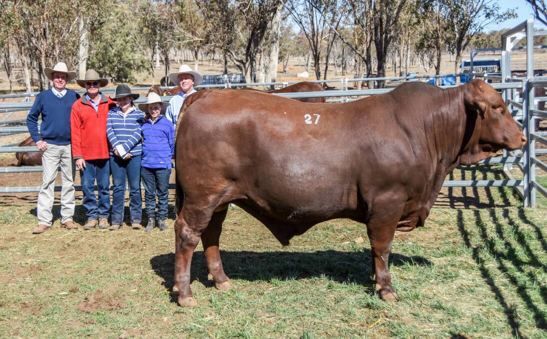 The equal top price bull, Watasanta Marmalade, is pictured with auctioneer Paul Dooley, buyers Clive, Emma and Brendan Pearson, Glenbrook, Armidale, and Watasanta stud principal Neil Watson. 